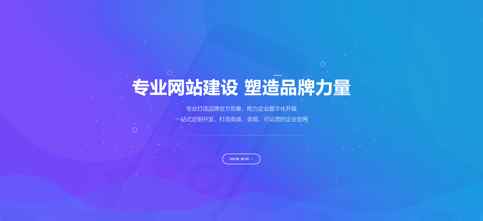 岷县建站-专业网站建设 塑造品牌力量