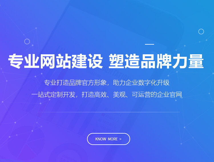 岷县建站-专业网站建设 塑造品牌力量